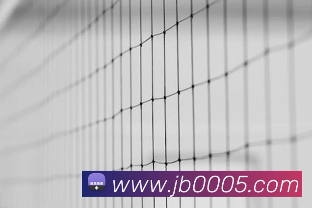 金贝体育APP 体育赛事宣传图